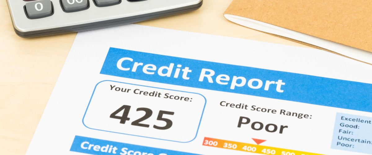 Credit Report