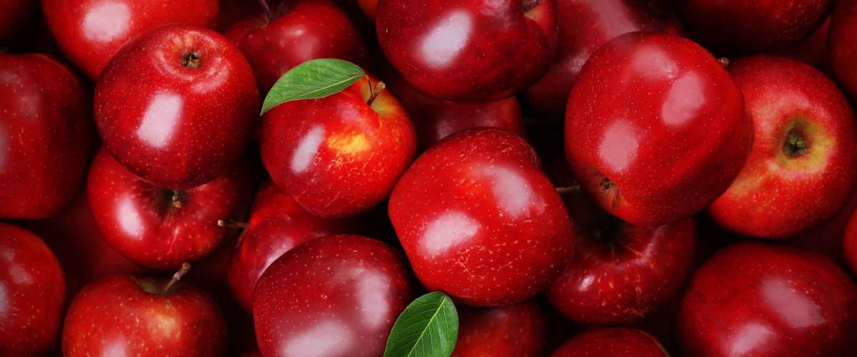 Red apples background