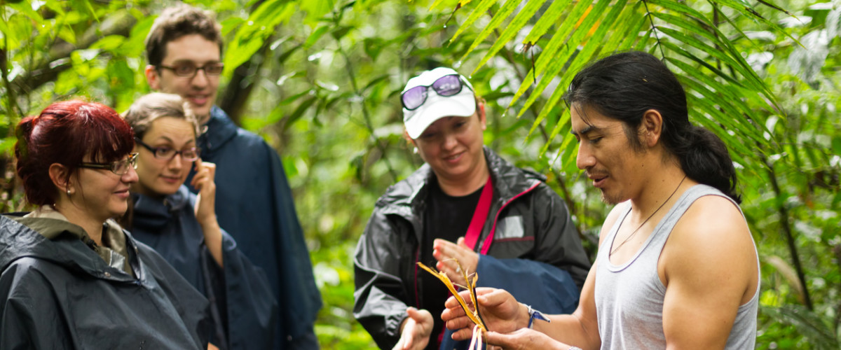 Nature tour guide tourists