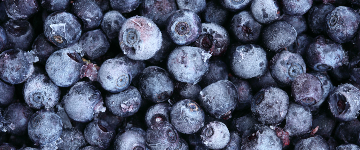 Frozen blueberries