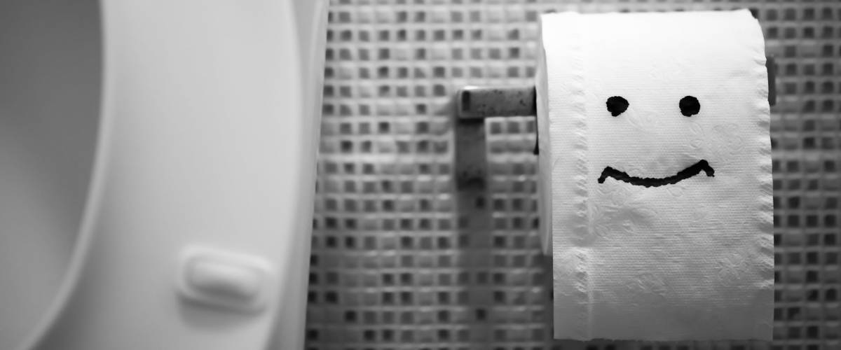 White toilet bowl and Toilet Paper.