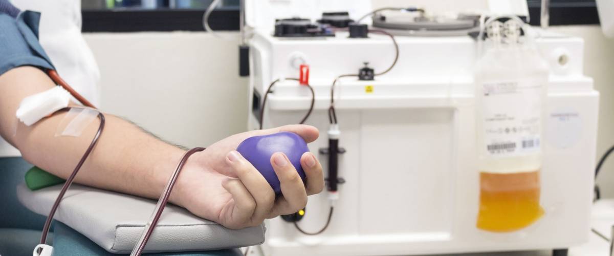 Blood Plasma Donation process, hand squeezing a rubber ball