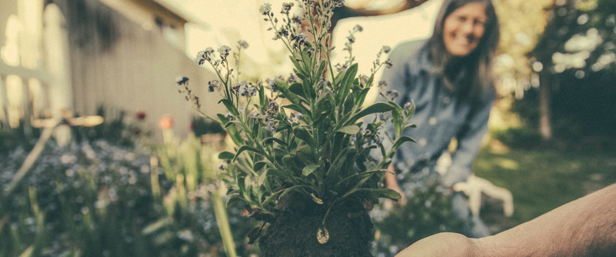 Gardening