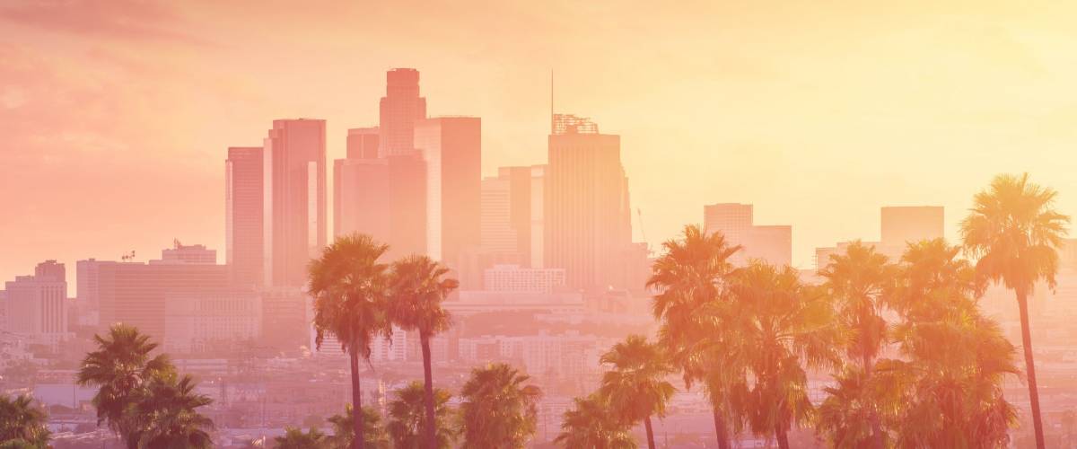 Los Angeles hot sunset view with palm tree and downtown in background. California, USA theme - background. Art photography