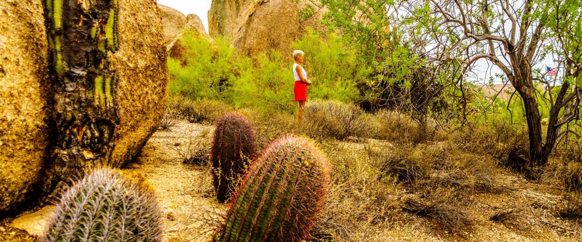 Senior Woman amidst Barrel and Saguaro Cacti, Shrubs and large Rocks and Boulders in the desert near Carefree Arizona