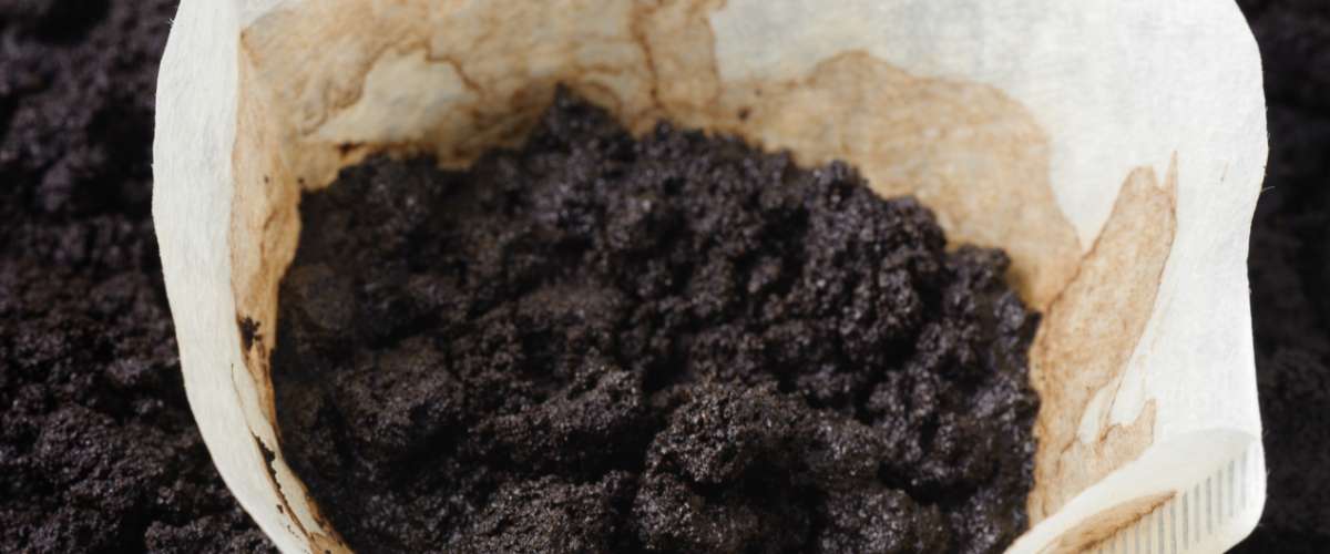 used white coffee filters with coffee ground