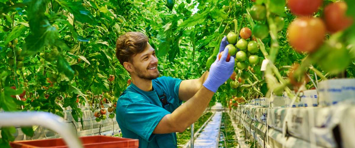 Farm jobs offer a rare opportunity to live like a local in an entirely new place