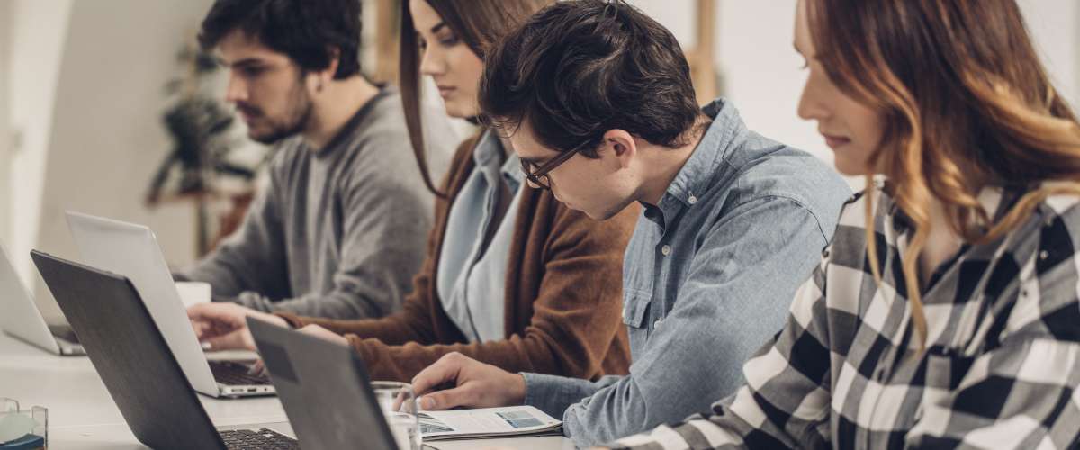 group of students equal male and female studying on laptops