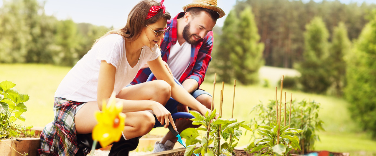 Young couple gardening