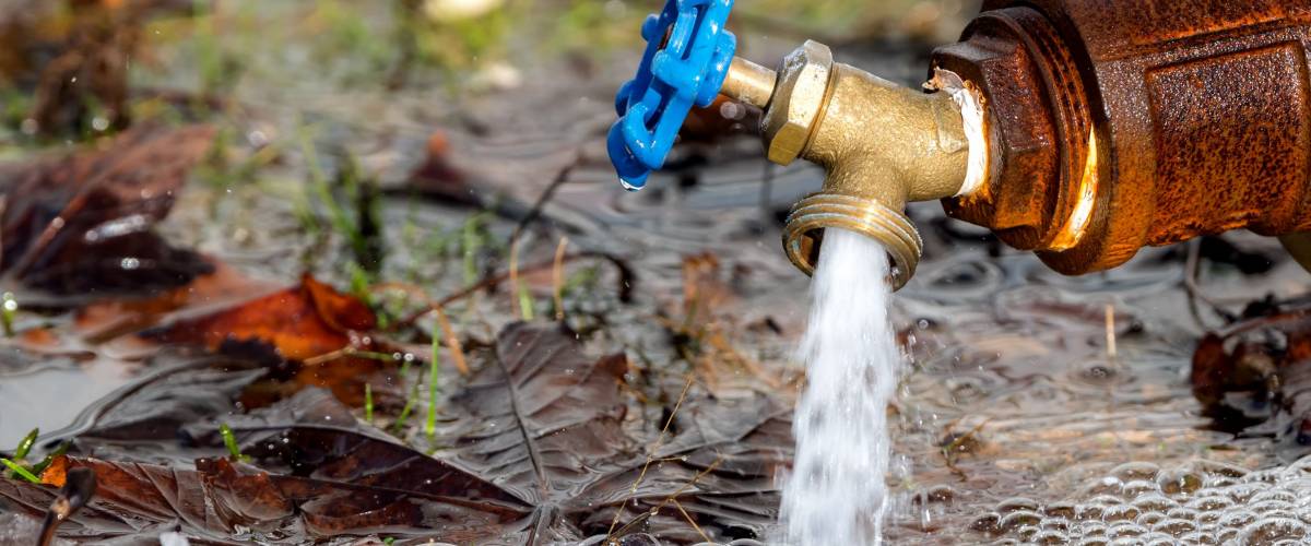 A small outdoor brass tap gushing water. The tap has a blue handle and is attached to a rusty pipe. It is very close to the ground.