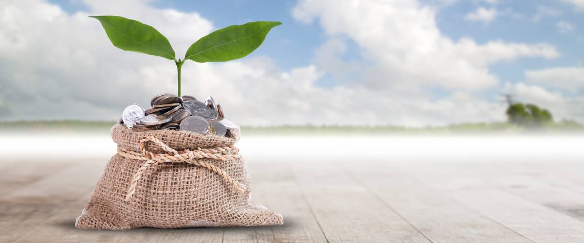 change growing concept investment