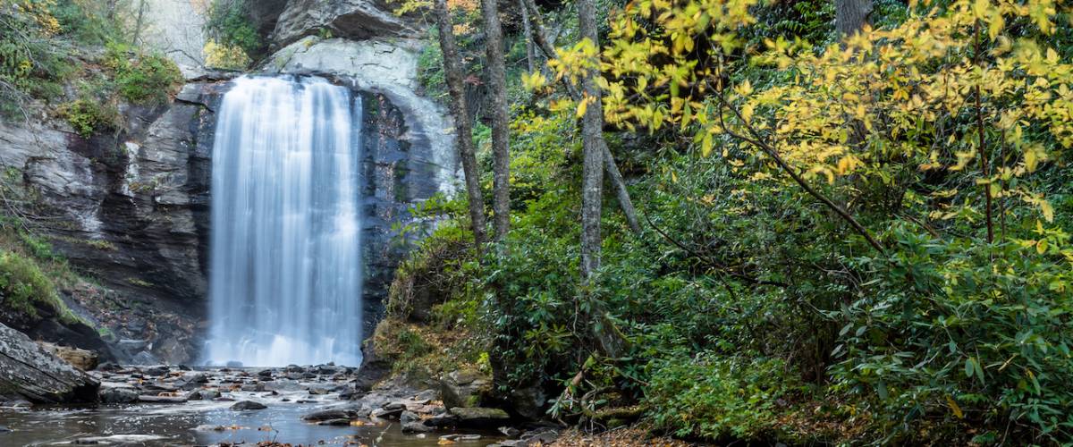 Looking Glass Falls