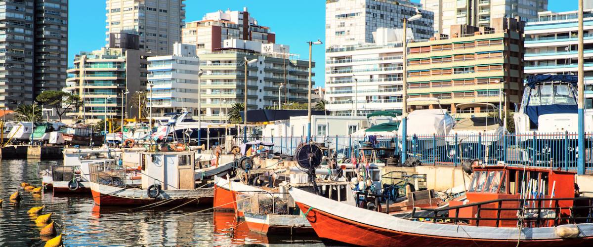 Fishing boats, Punta del Este, Uruguay