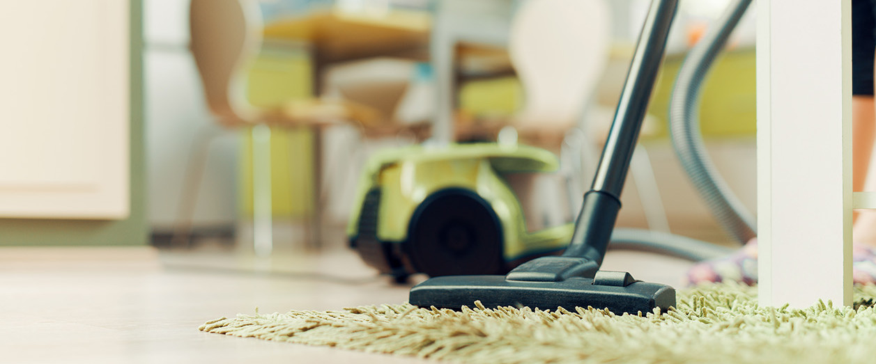 Vacuum cleaner on a shag carpet