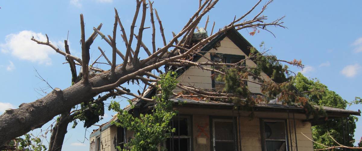 tree fallen on house as result of severe storm