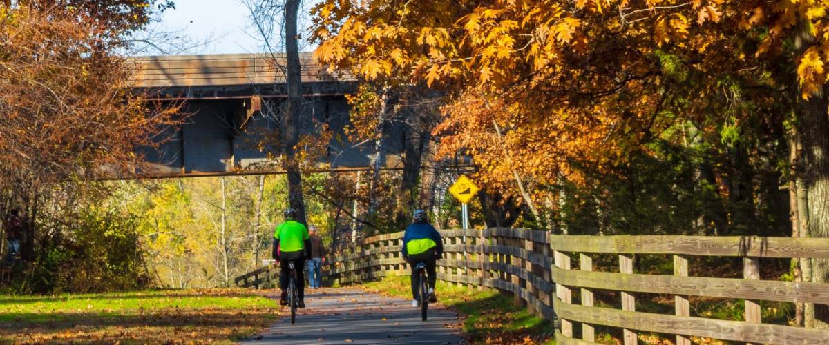 Suffield, Connecticut / USA - November 4 2018: Two cyclists ride on a bike path under large oak trees on an autumn day