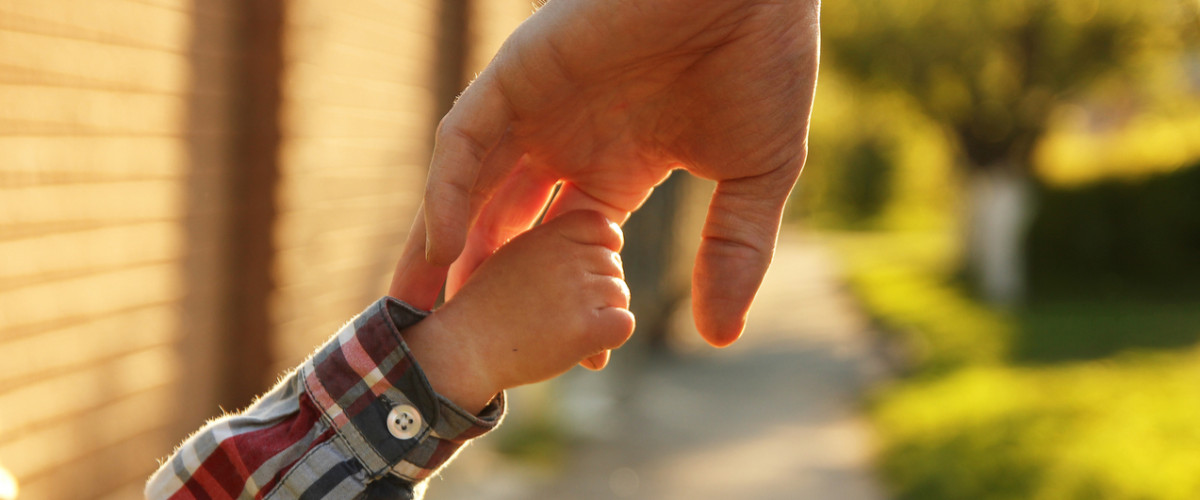 Parent holds the hand of a small child