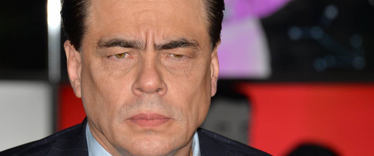 Benicio del Toro