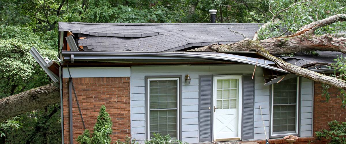 House with a downed tree through the roof