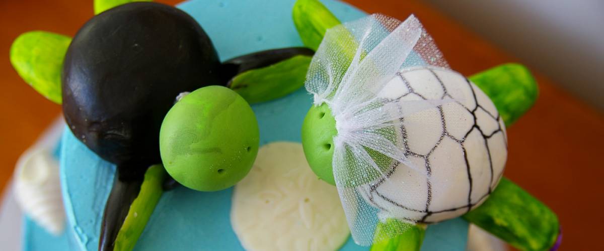 turtle cake topper