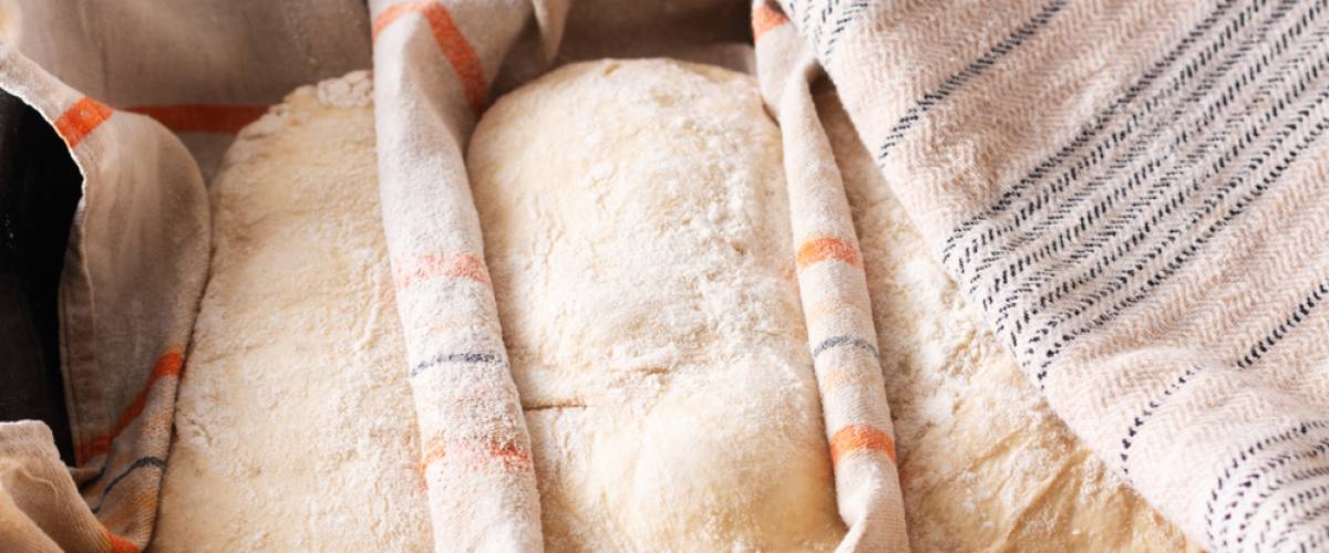 Loaves of bread