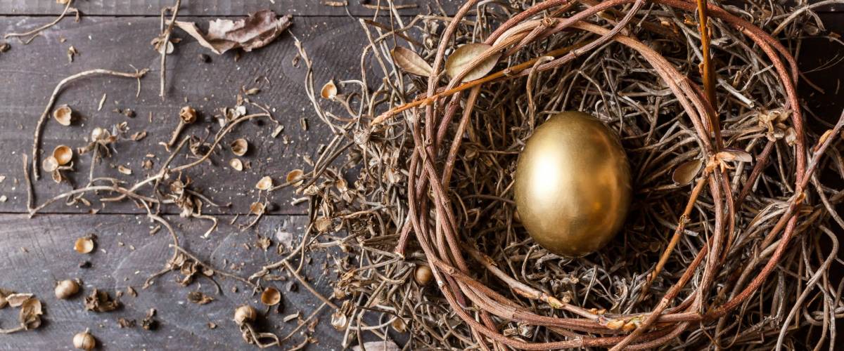 Golden egg in nest on dark vintage wooden background