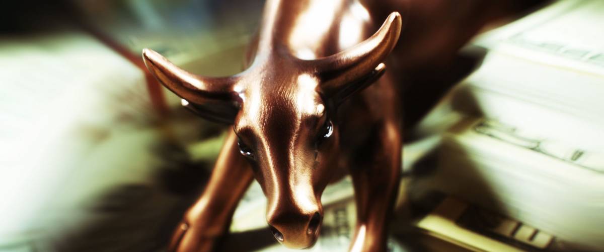 Bull Market Stock Photo High Quality