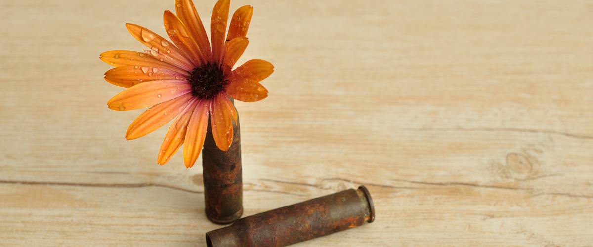 A flower with bullet casings, symbolizing peace