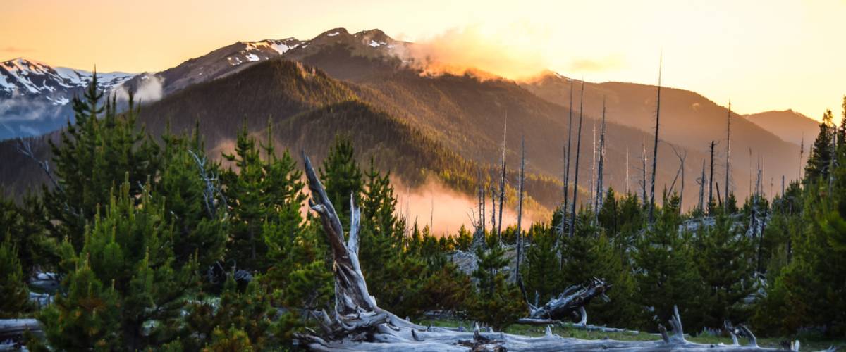 Olympic National Park