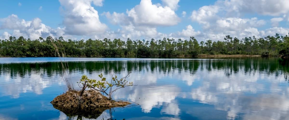 Everglades National Park