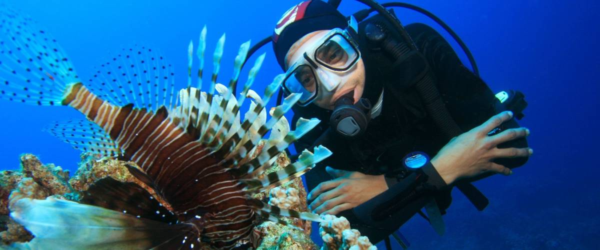 Scuba Diver and Lionfish (Pterois miles)