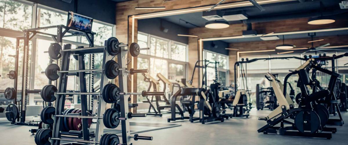 Modern light gym. Sports equipment in gym. Barbells of different weight on rack.