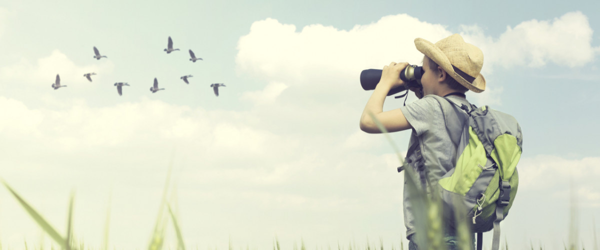 Young birdwatcher looks with his binoculars the bird world