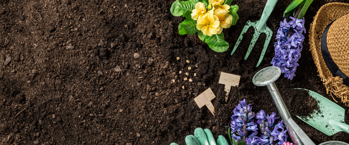gardening tools and soil garden